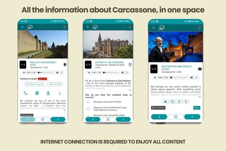 TOP Carcassonne : Private Guided Tour with your mobile