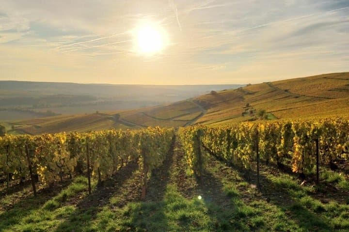 From Paris Champagne Sunset Tour with Dinner Tastings and Pickup