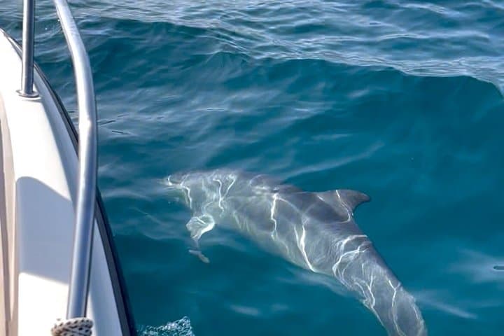 Private half-day or full-day sea excursion