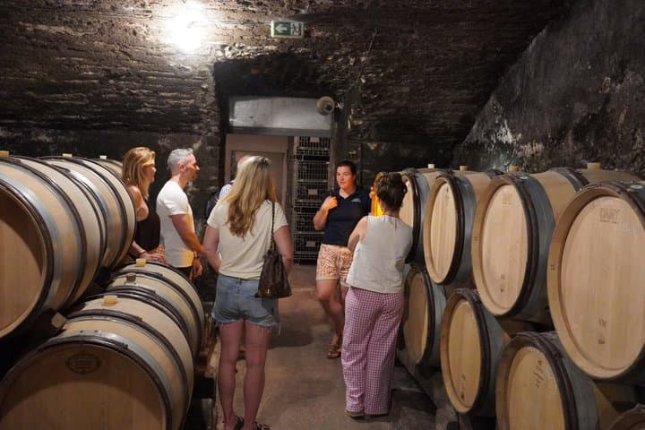 From Dijon: Full day the most of Burgundy with lunch