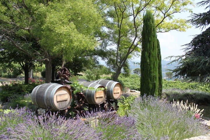 Guided tour and discovery of our wines