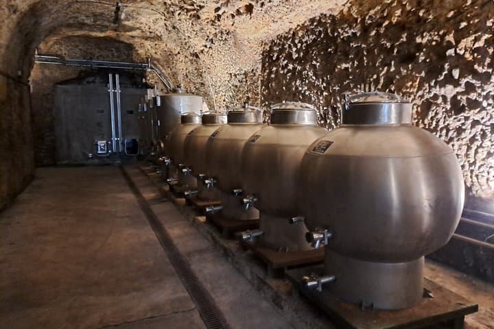 Full day Wine Tour from Amboise