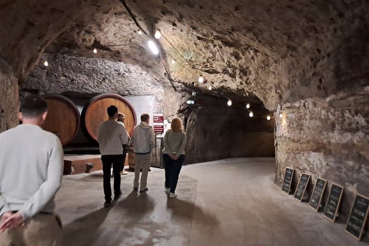 Saumur Unique Wine Experience Full Day