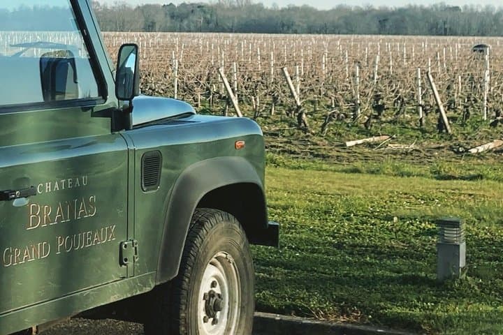 Bordeaux Wine Safari Tour Explore Vineyards and Wine Tasting