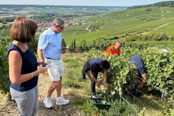 Champagne Day Tour with Tastings and Sabering Experience