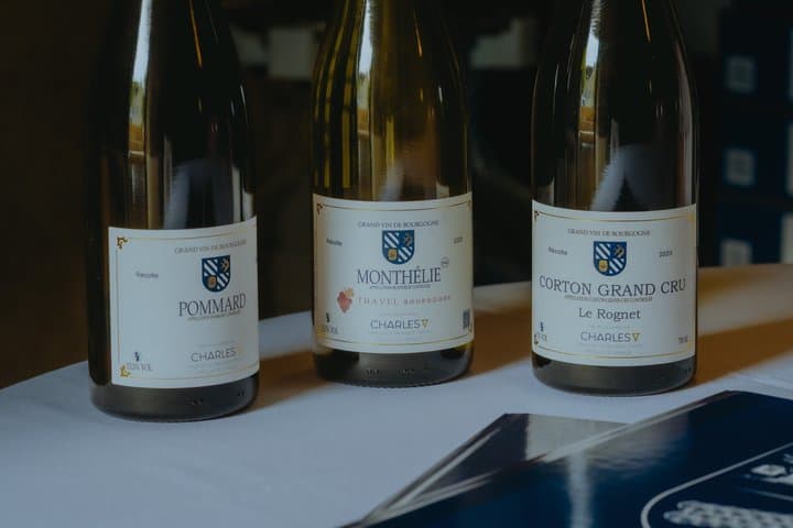 Meursault between vineyards and great wines of Burgundy