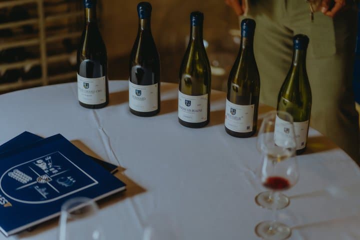 Meursault between vineyards and great wines of Burgundy