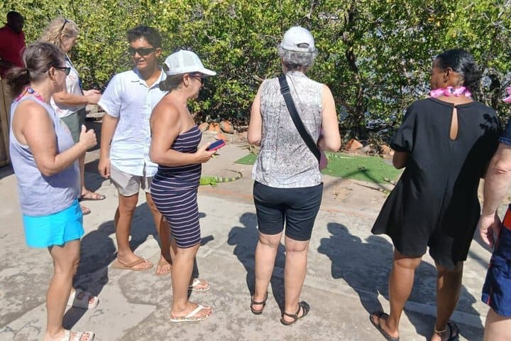 IslandGo Cultural and Scenic Tour History Meets Paradise