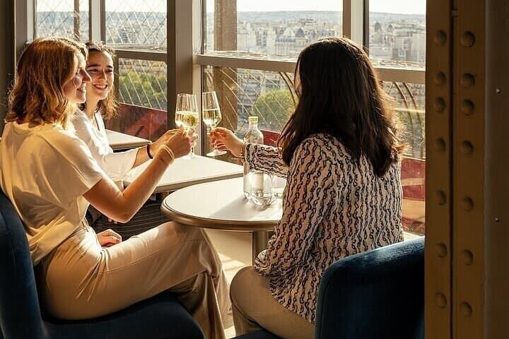 VIP Paris Visit Eiffel Tower Dining Summit and Cruise Options
