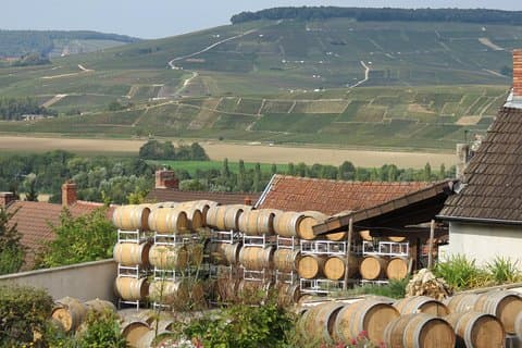 Champagne region - France
