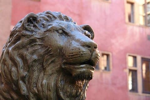 Lyon Vieux Lyonhttps://media-cdn.tripadvisor.com/media/attractions-splice-spp-720x480/13/e0/c0/95.jpg