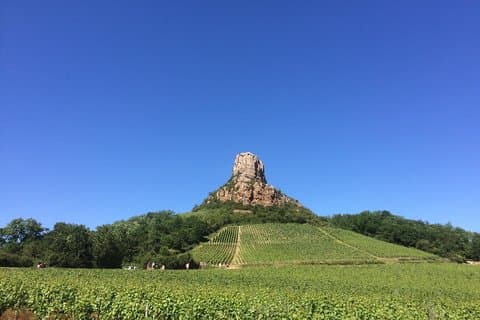 Macon cave barriques
