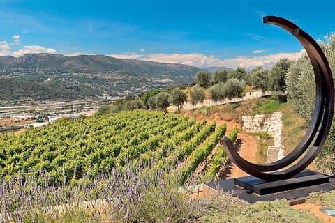 Terraced vineyard of Bellet