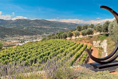 Semi Private Organic Wine & Food Tasting Tour (From Nice)
