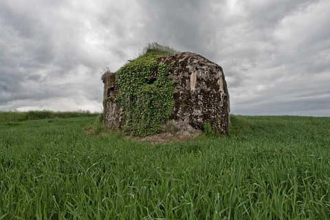 World War 1 Guided Bunker Tour