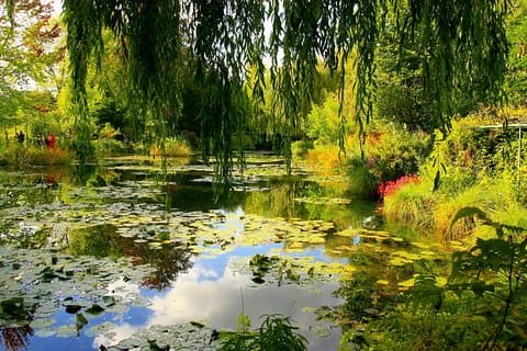 Monet's Gardens