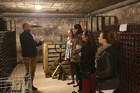 Private day tour in Champagne