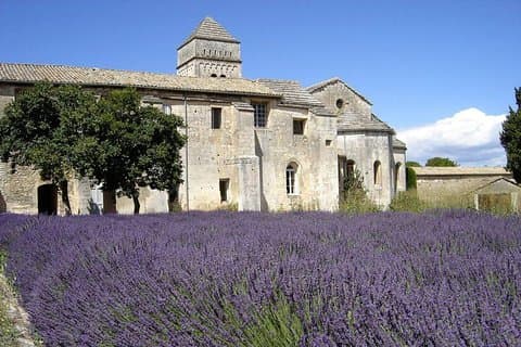 Saint Remy of Provence & Les Baux de Provence Minivan Tour