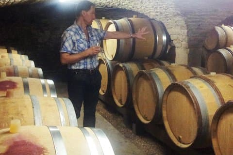 Authentic gourmet treasures of Gascony !
