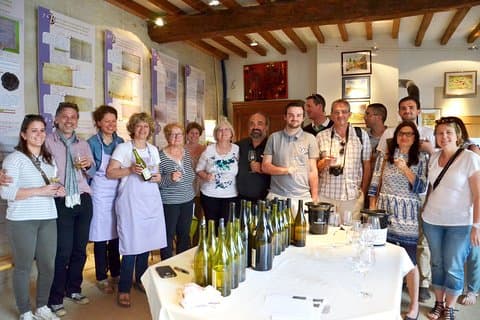 Chablis Tour and Tasting at Domaine Clotilde Davenne in French