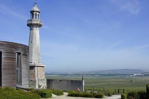 Great Family Champagne Vineyards - Custom Planned Tour