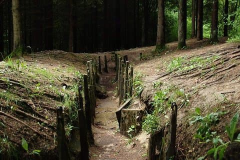 Trench, Verdun