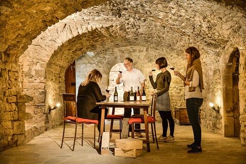 Guided tour of a winery in Vacquières with wine tasting