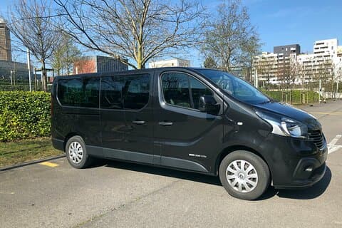 Airport transfer from Paris to Disneyland Paris/Parc Asterix (8pax)