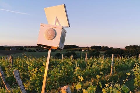 Simple Visit to Discover the Domaine d'Arton