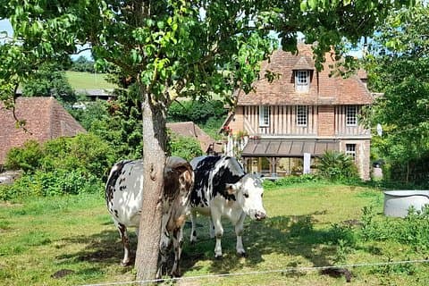 Private Honfleur, cider/cheese trail - Bayeux and Caen