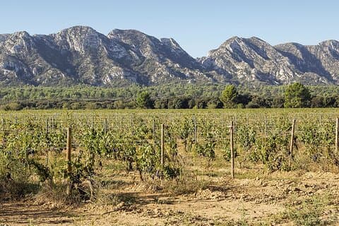 Les Alpilles