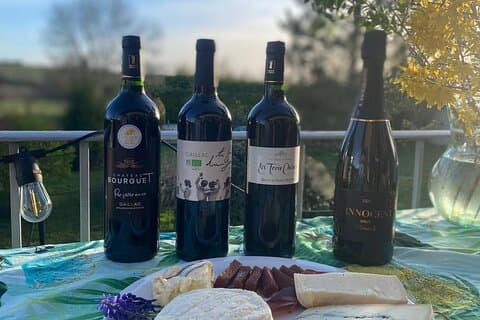 Private Wine Tasting in France's Oldest Wine Region