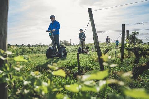 Segway ride between Lac Bleu and the castles of Pessac-Léognan