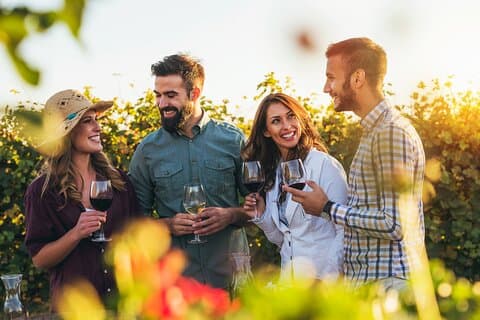 Private Full-Day Wine Heritage Tour from Strasbourg in Alsace