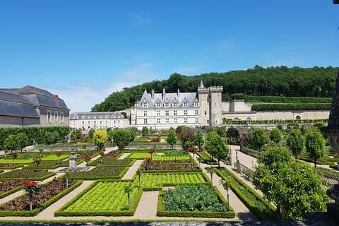 Loire Valley Half Day Wine Tour from Tours : 2 local wineries