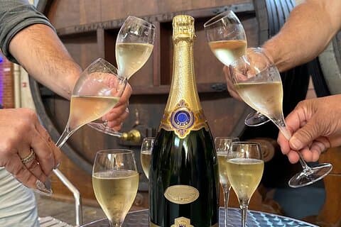Champagne Day Trip from Reims including 9 Champagne Tastings