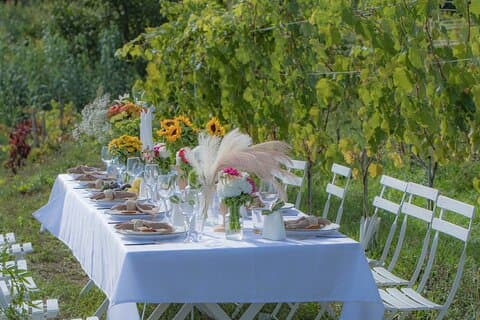 Lunch in the Vineyard Saint Tropez Gassin