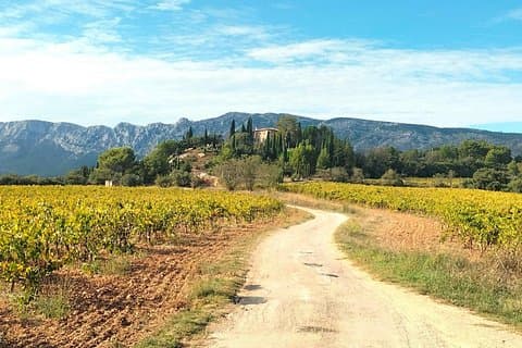 Wine Tour Like a Local in Scenic Provence with Picnic & Pétanque