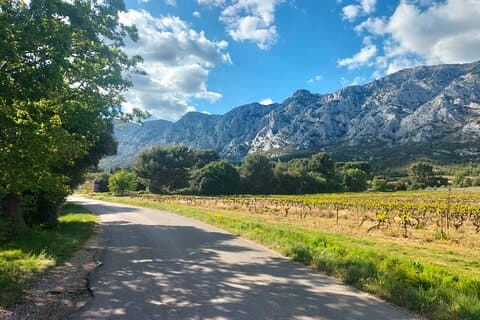 Aix Signature Wine Tour by Tom: Vineyard Visit, Picnic & Pétanque