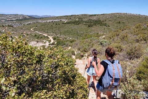 Hiking in the Hills of Our Childhood (Le Garlaban)