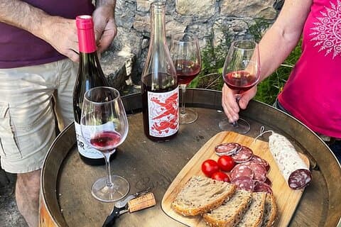 Wine tasting and picnic