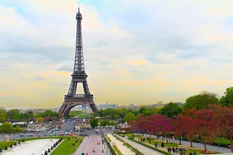 Full-Day Paris Highlights by Car Private Tour