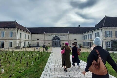 Beaune & Burgundy Vineyards Private Day Trip from Lyon