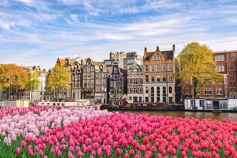 Private transfer from Paris to Amsterdam