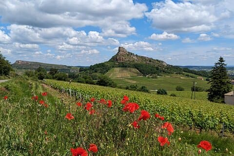 Wine-Tour SUD BURGUNDY: The Maconnais and the Crus du Beaujolais