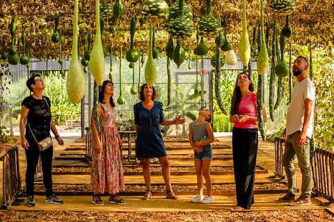 Tunnel of Gourdes at the Garden