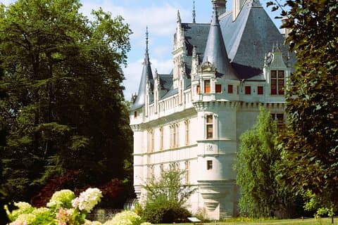 Paris VIP: Loire Valley Castles VIP Chauffeur Driven Tour 12hrs