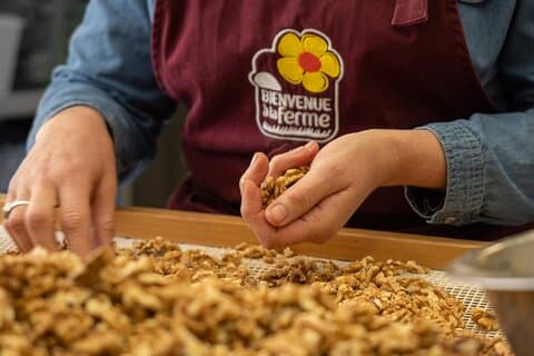 Private immersion visit to the Walnut grove with tasting