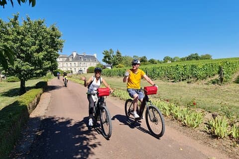 Private Amboise E Bike Tour Clos Luce