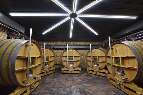 Winery visit and tasting Champagne Domaine Coutant